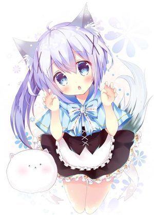 PicACG官方并安装下载