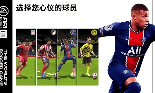 fifa足球国际服图1