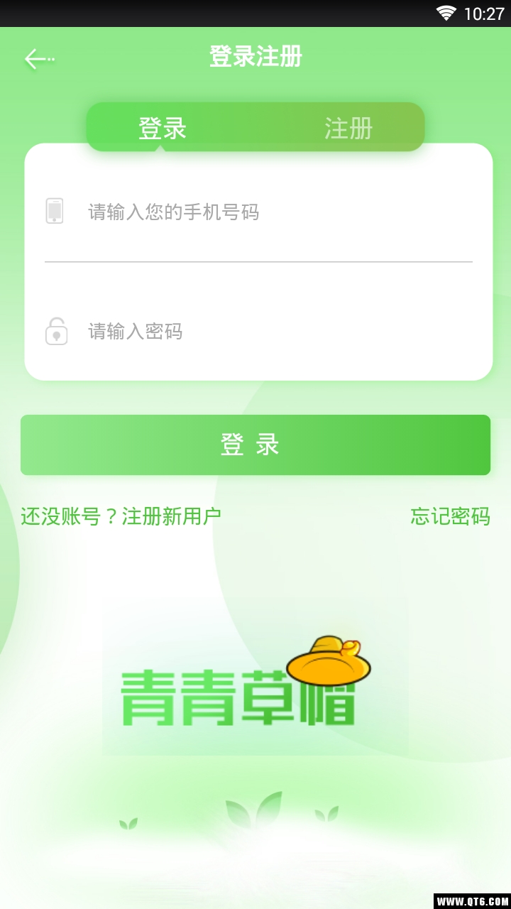 现金树