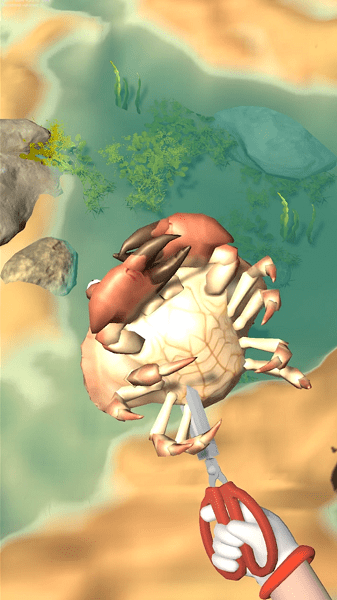 赶海之王破解版图1