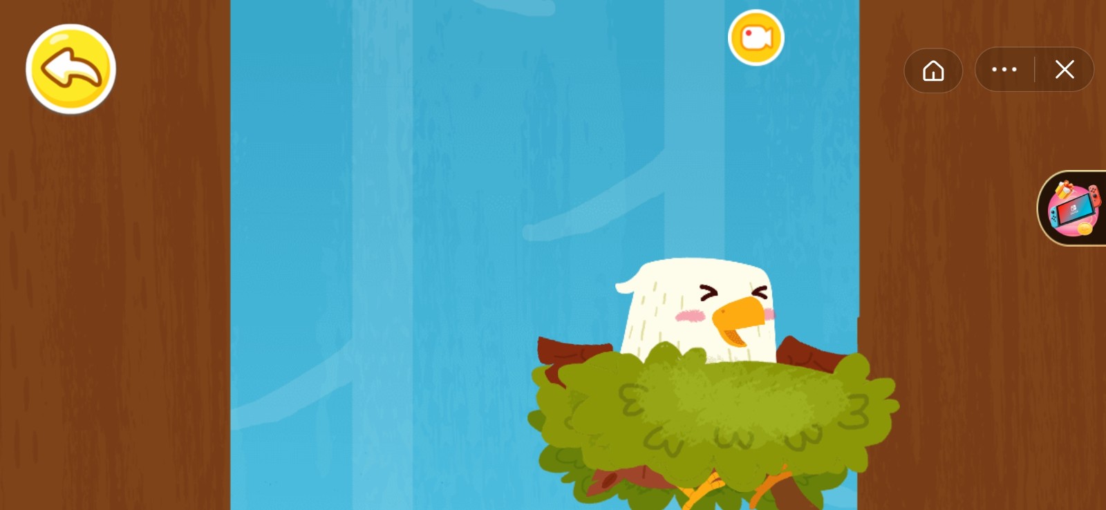 鸟类生活日记免费版