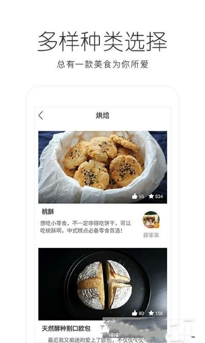 bv v1.0.0图2