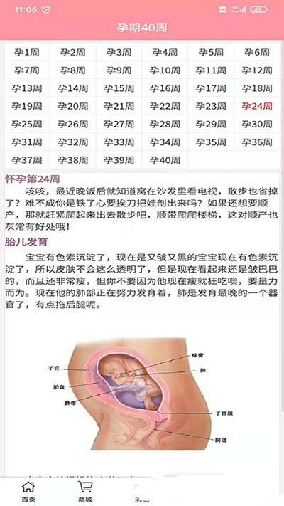 孕婴安 v2.8.3