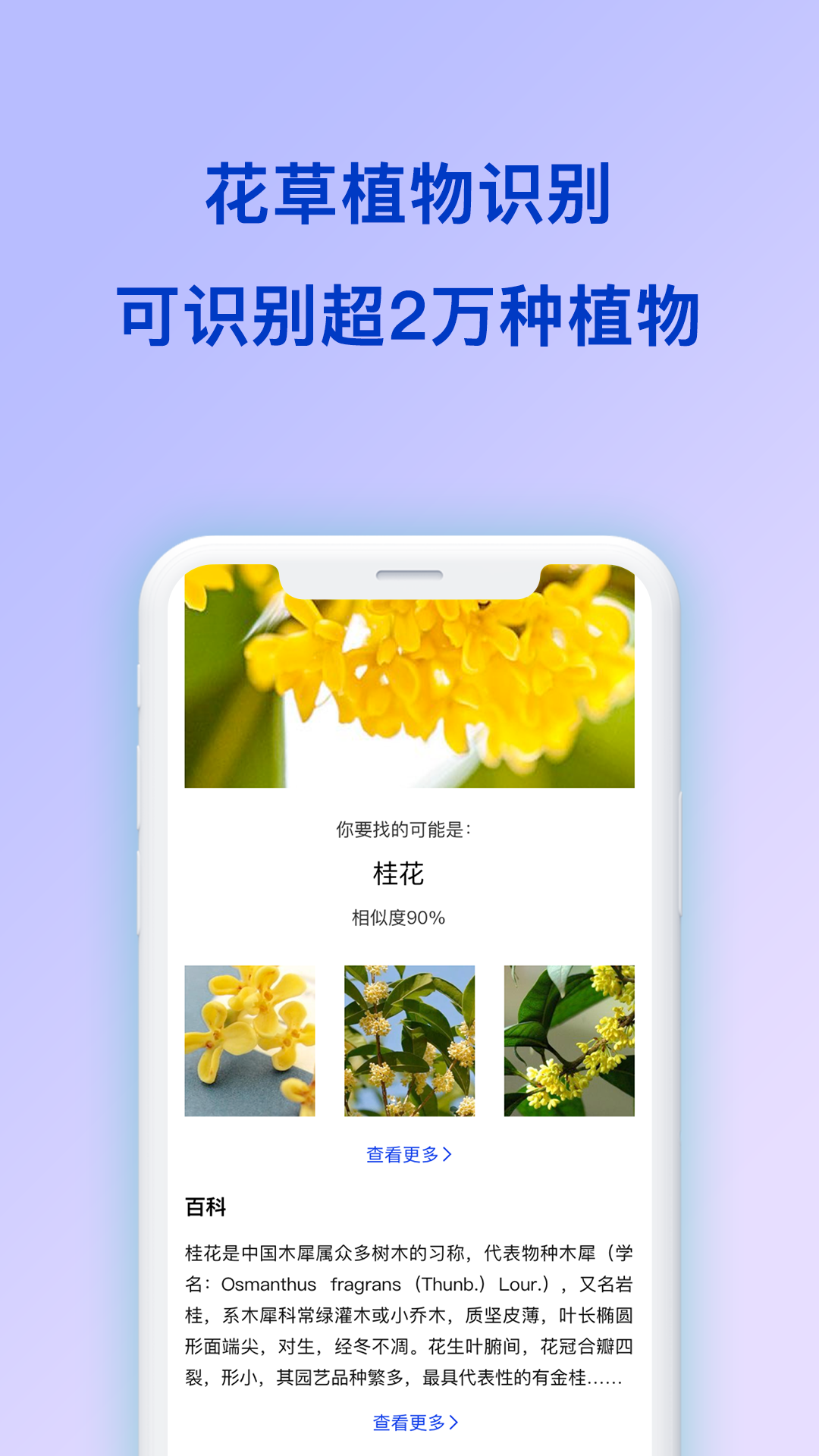 扫描识图 v1.0.3