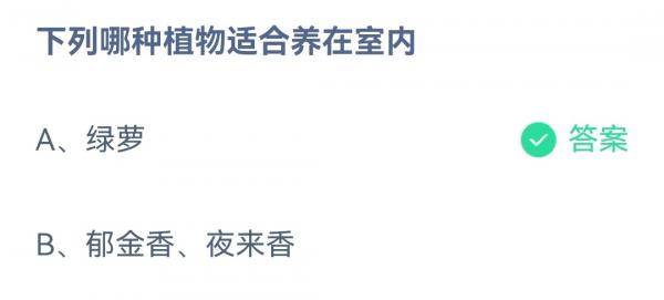 《蚂蚁庄园》下列哪种植物适合养在室内 4月22日答案