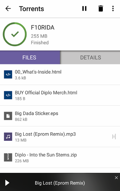 BitTorrent（BT下载器）