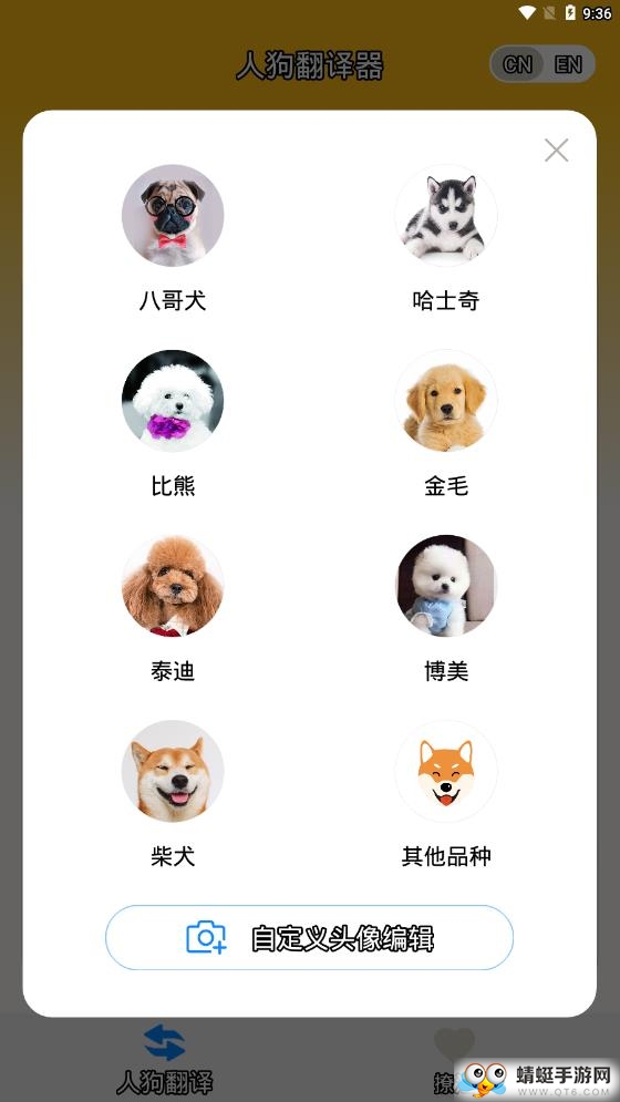 人狗翻译器