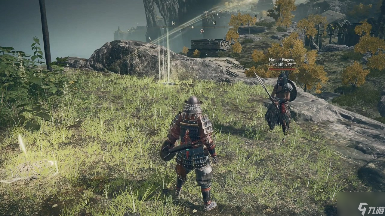 《艾尔登法环》全程无缝合作mod 可与好友联机通关