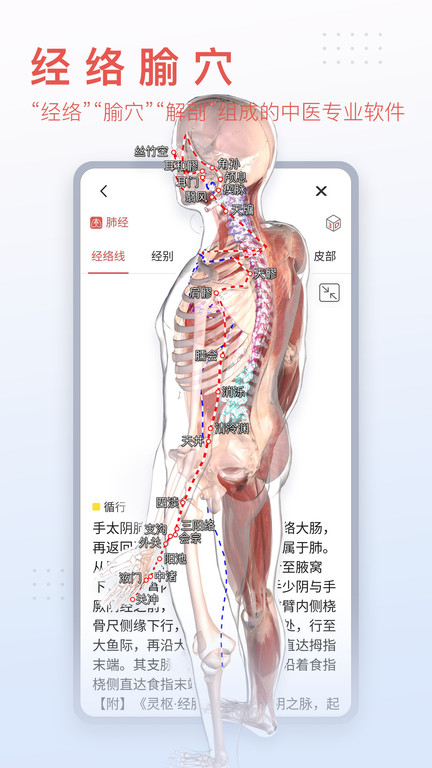3dbody解剖图手机版v8.6.21  