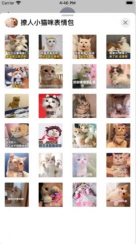 撩人小猫咪表情包app手机免费版图3