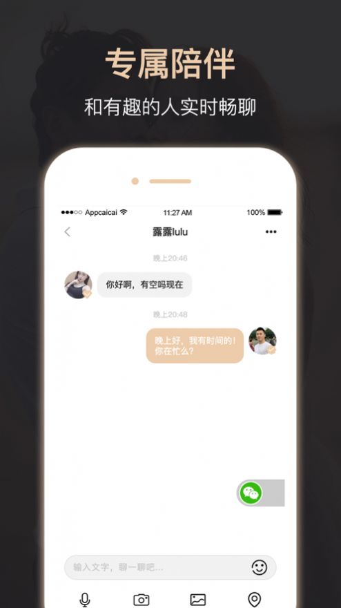 金牌婚恋app安卓版