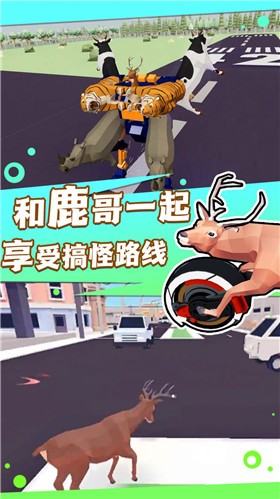 普通的动物进化