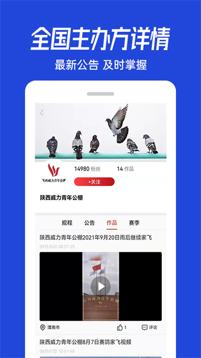 青鸽网app下载