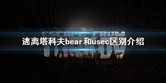 《逃离塔科夫》bear和usec有什么区别 bear和usec区别介绍