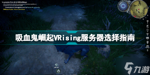 VRising什么服务器比较好 吸血鬼崛起VRising服务器选择指南
