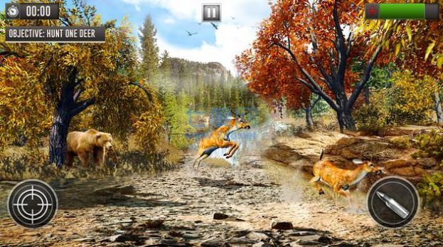 鹿狩猎3D游戏安卓版（Deer