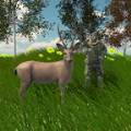 动物狩猎模拟器游戏安卓版