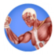 猛男进化最新安卓版