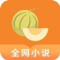 肉丸书吧 v1.0