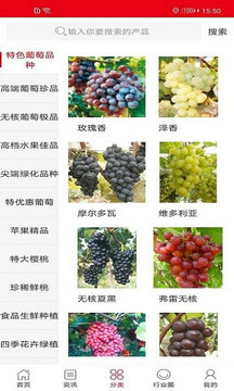 中国果树图1