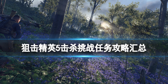 《狙击精英5》击杀挑战任务有哪些？击杀挑战任务攻略汇总
