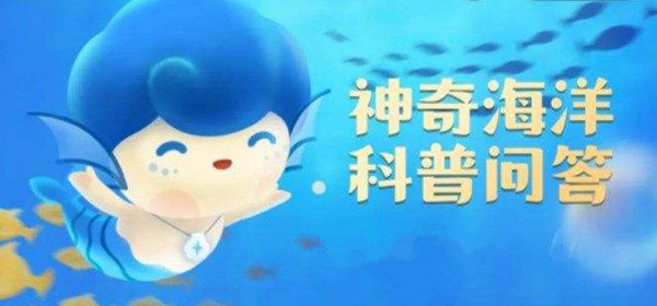 《神奇海洋》海洋再生能源不包括 6月17日