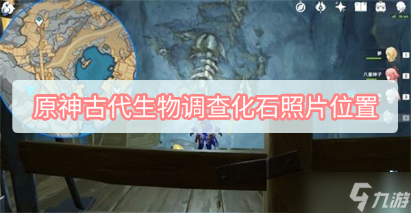 《原神》古代生物调查化石照片位置