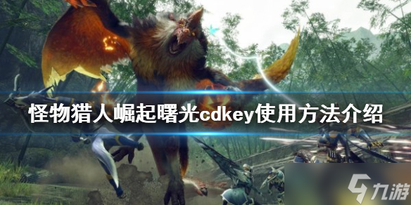 《怪物猎人崛起》cdkey如何使用 曙光cdkey使用方法介绍