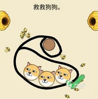 救救狗狗蜜蜂是什么游戏