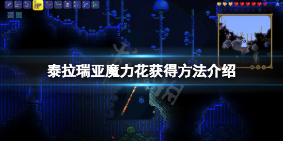 《泰拉瑞亚》魔力花怎么获得？魔力花获得方法介绍