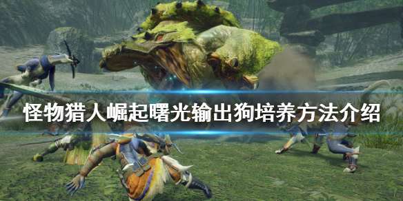 《怪物猎人崛起》输出狗如何培养？曙光输出狗培养方法介绍