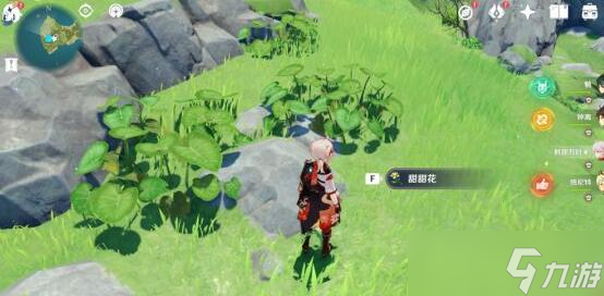 原神危危岛幻境海螺位置介绍