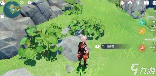 原神危危岛幻境海螺收集位置