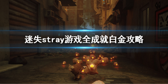 《迷失》stray游戏全奖杯白金攻略 stray游戏全成就白金攻略