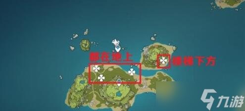 原神金苹果群岛幻境海螺收集位置