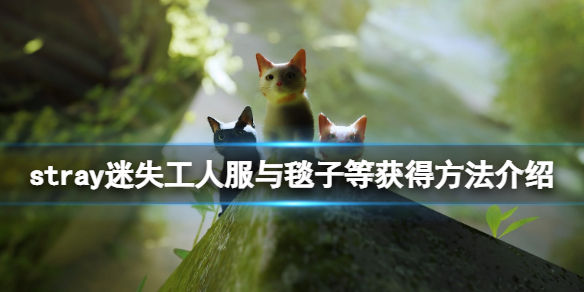 《stray》斗篷有什么用？工人服与毯子等获得方法介绍