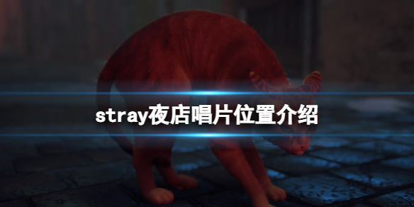 《迷失》stray夜店唱片在哪？夜店唱片位置介绍