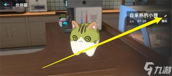 猫之城改名方法介绍