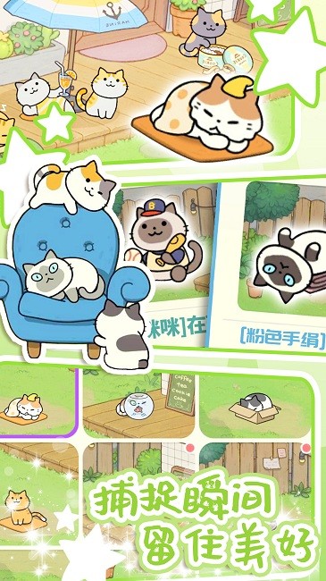 地铁遇见猫最新版图3