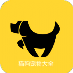 i大通app