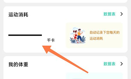 先锋鸟