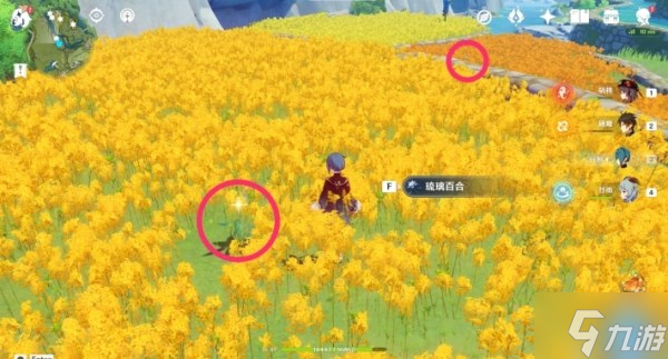 《原神》琉璃百合收集路线推荐