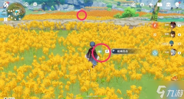 《原神》琉璃百合收集路线推荐