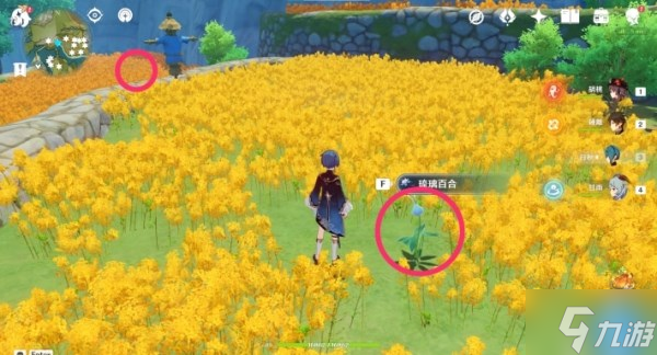 《原神》琉璃百合收集路线推荐