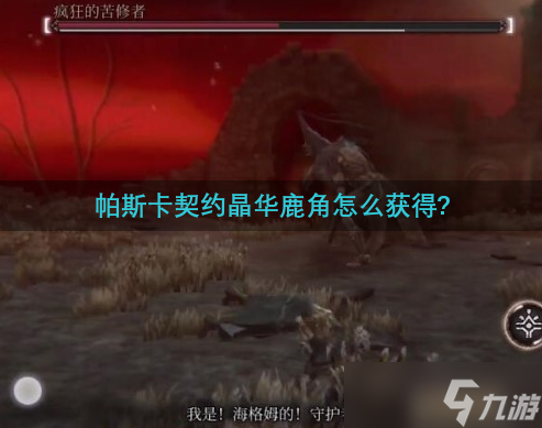 帕斯卡契约晶华鹿角怎么获得 