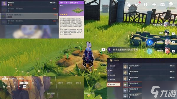 《原神》宵宫培养素材获取指南 鸣草采集路线