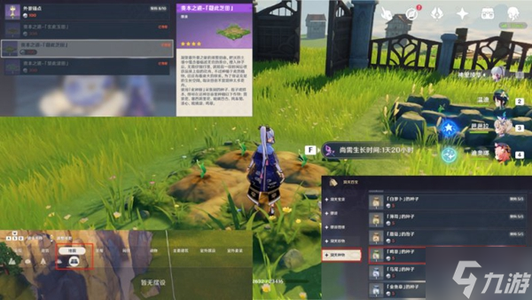 原神宵宫养成素材全解及路线分享
