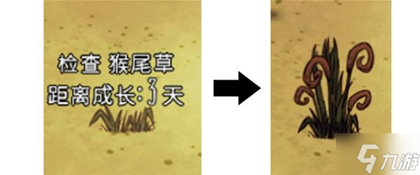 《饥荒》月亮码头的诅咒新增植物介绍