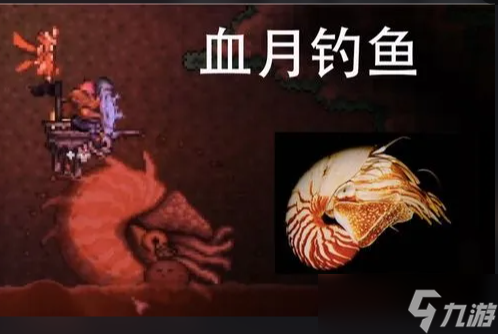 泰拉瑞亚血月钓鱼会钓到什么