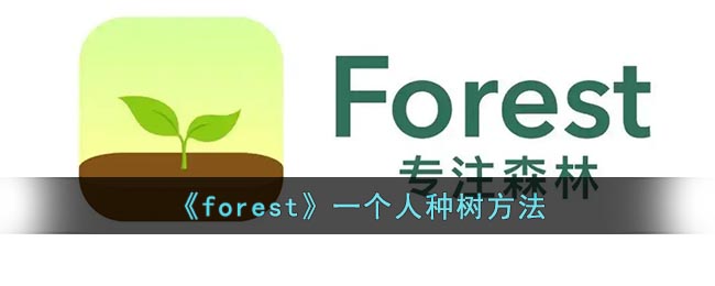 forest一个人种树方法